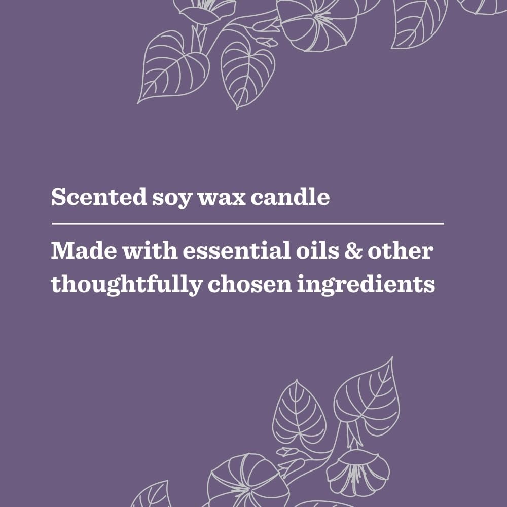 image:imageMRS MEYERS CLEAN DAY Aromatherapy Candle Peony 72 oz 2 PackMoonflower