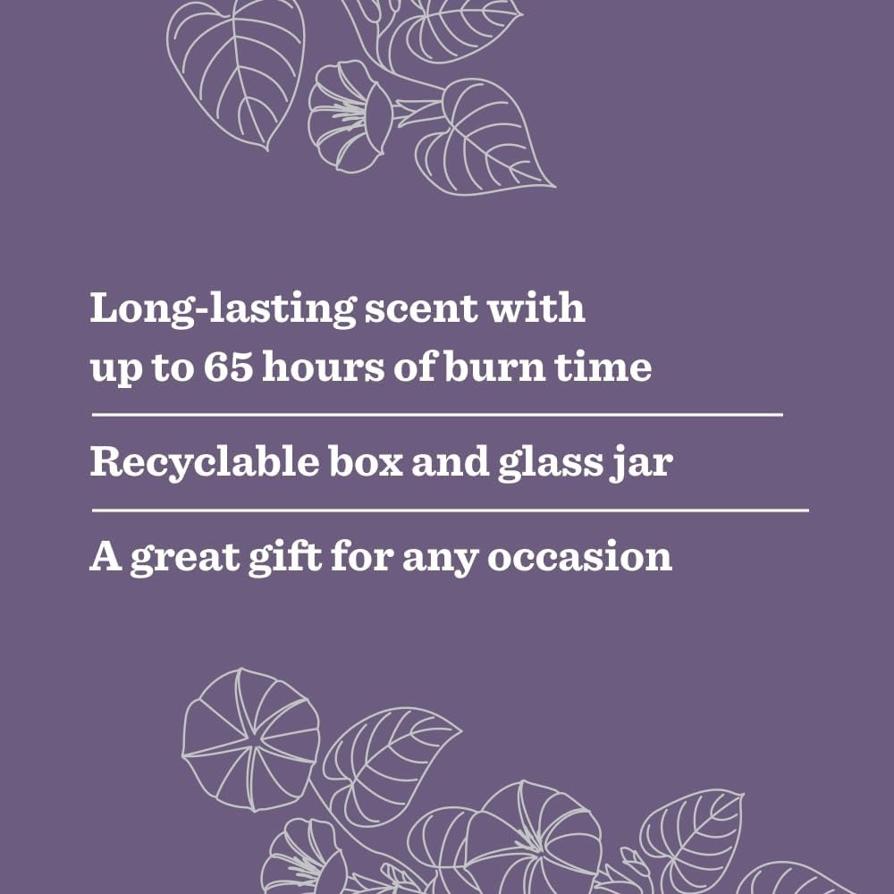 image:imageMRS MEYERS CLEAN DAY Aromatherapy Candle Peony 72 oz 2 PackMoonflower