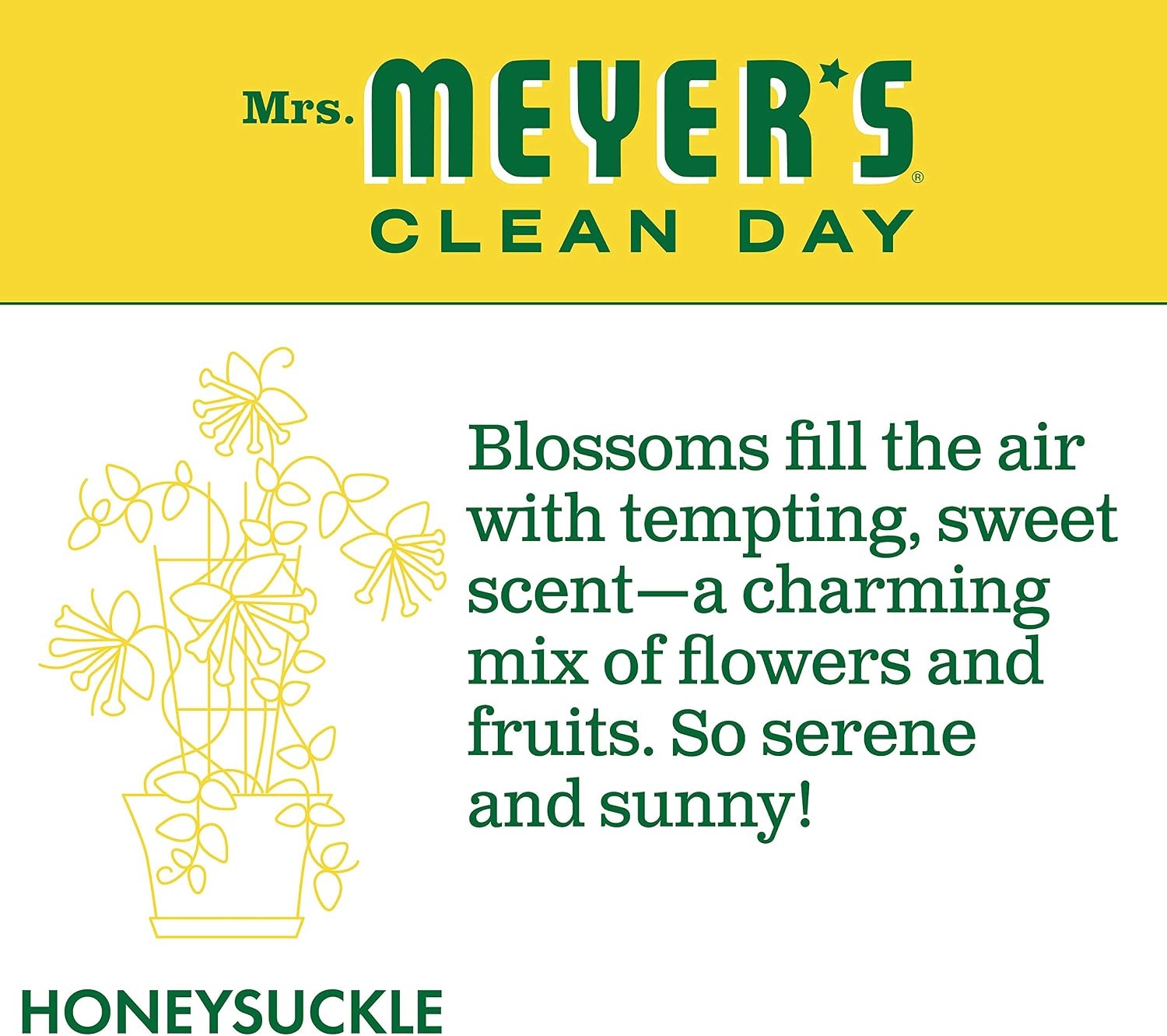 image:imageMRS MEYERS CLEAN DAY Liquid Dish Soap Acorn Spice 16 fl oz 3 Pack16 Fl Oz Pack of 1