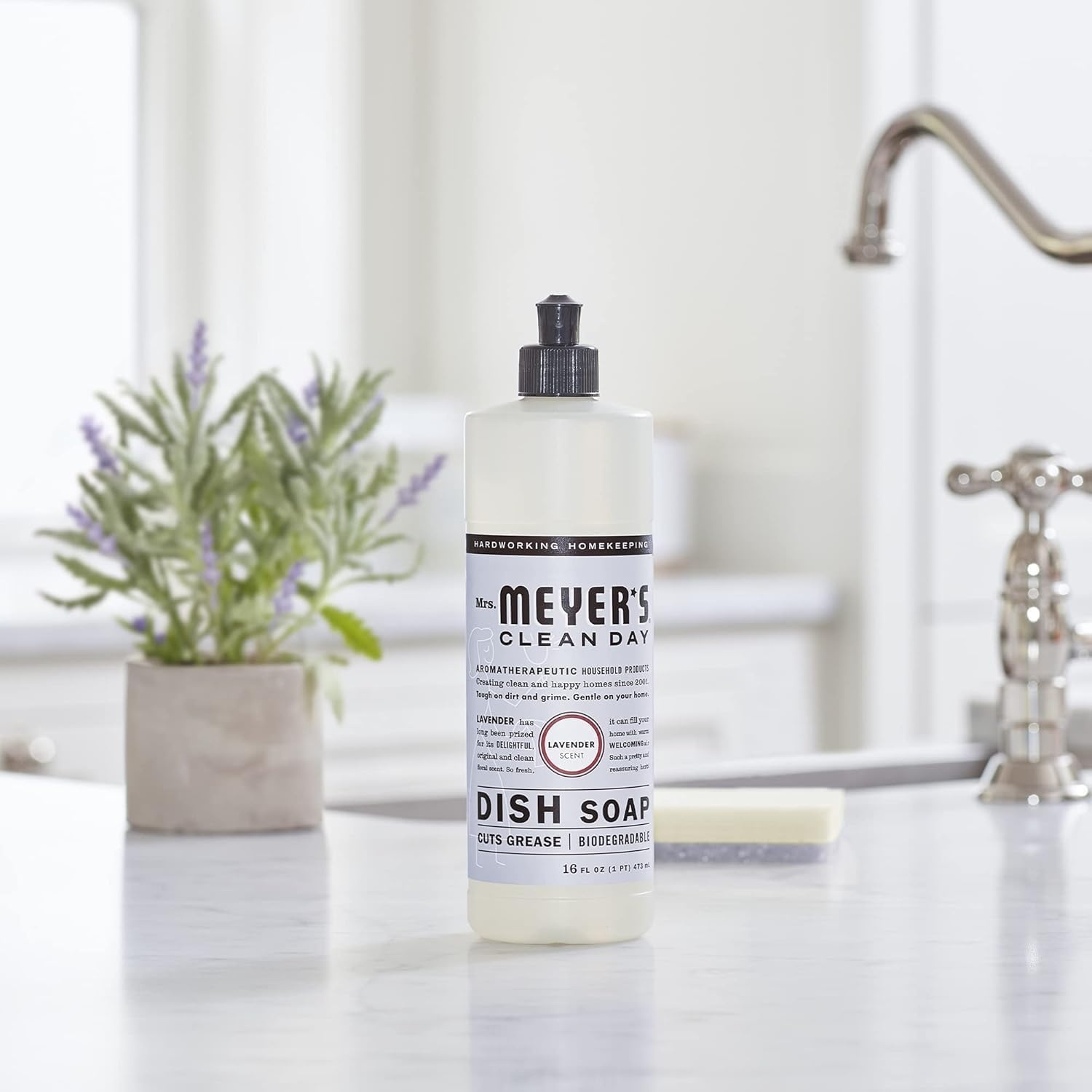 image:imageMRS MEYERS CLEAN DAY Liquid Dish Soap Acorn Spice 16 fl oz 3 Pack16 Fl Oz Pack of 3