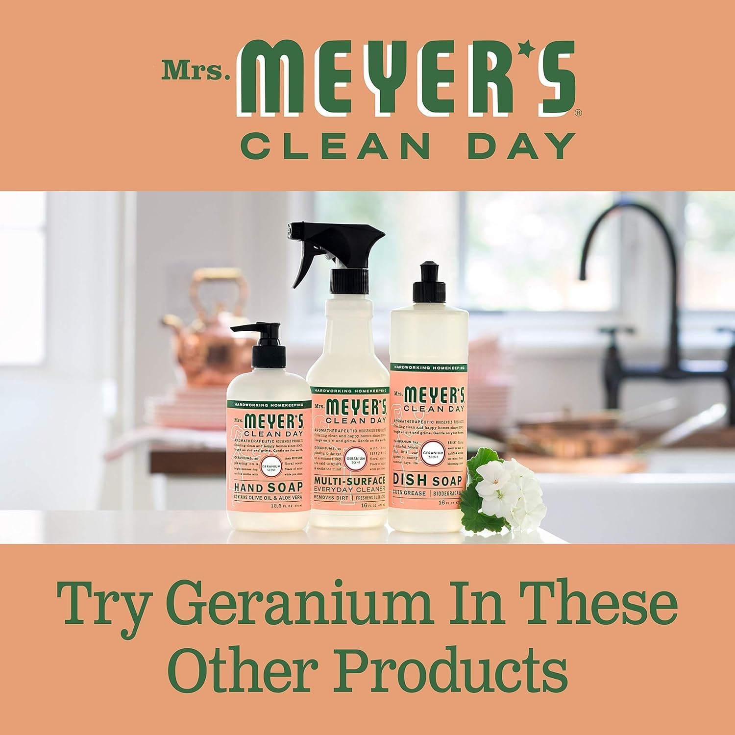 image:imageMRS MEYERS CLEAN DAY Liquid Dish Soap Acorn Spice 16 fl oz 3 Pack267 Fl Oz Pack of 6