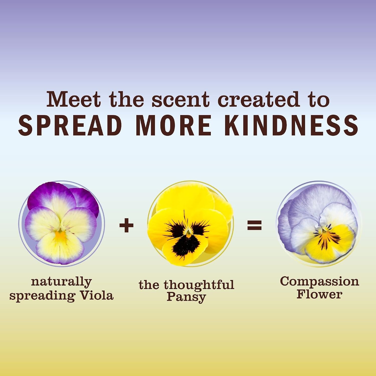 image:imageMRS MEYERS CLEAN DAY MultiSurface Cleaner Compassion Flower 3 Pack16 Fl Oz Pack of 6