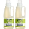 Lemon Verbena (Pack of 2)